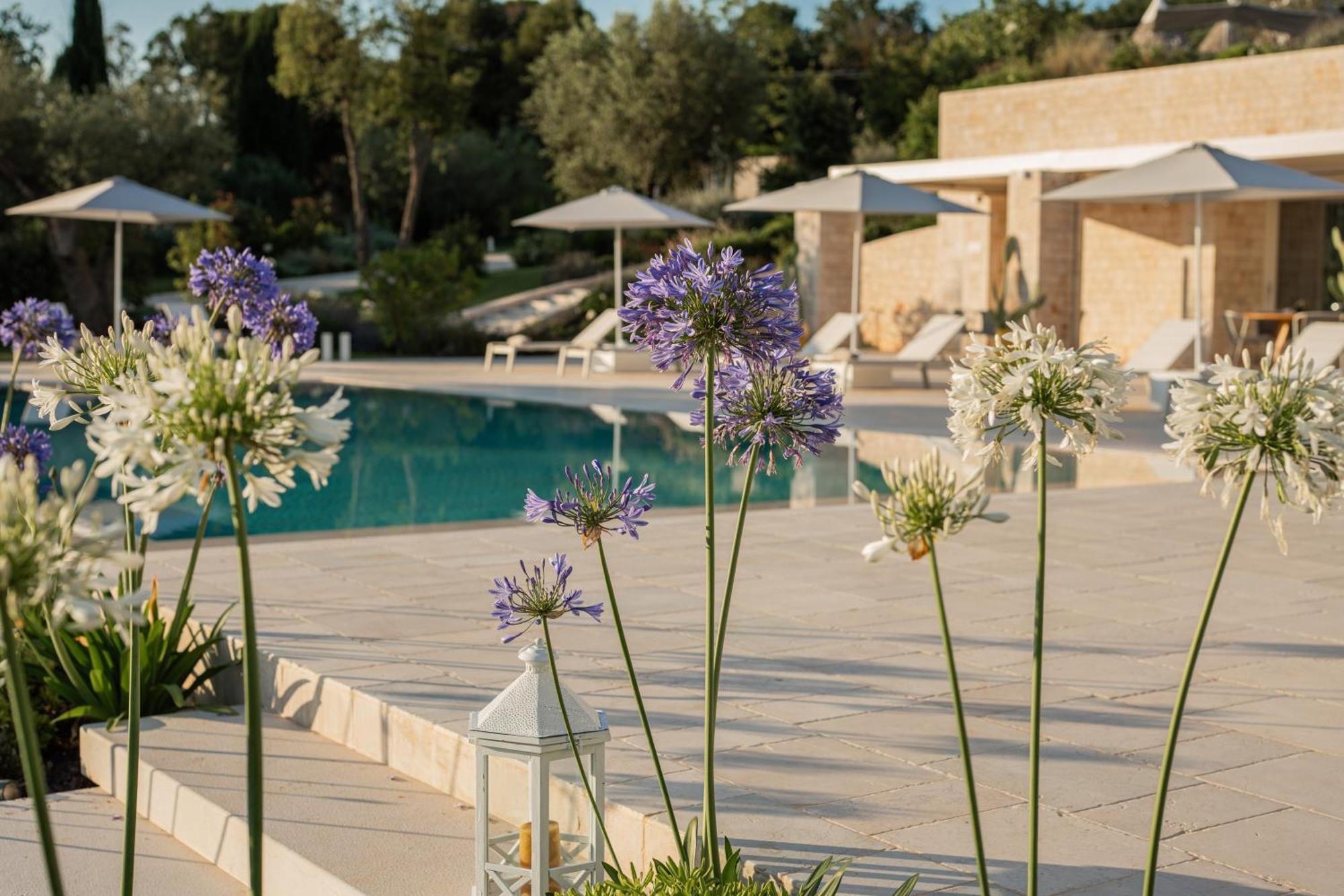 Bed and Breakfast Essenza Relais Contemporaneo à Cisternino Extérieur photo